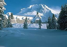 timberline
