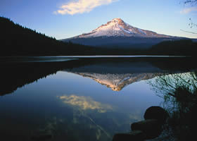 Trillium Lake Forest camp